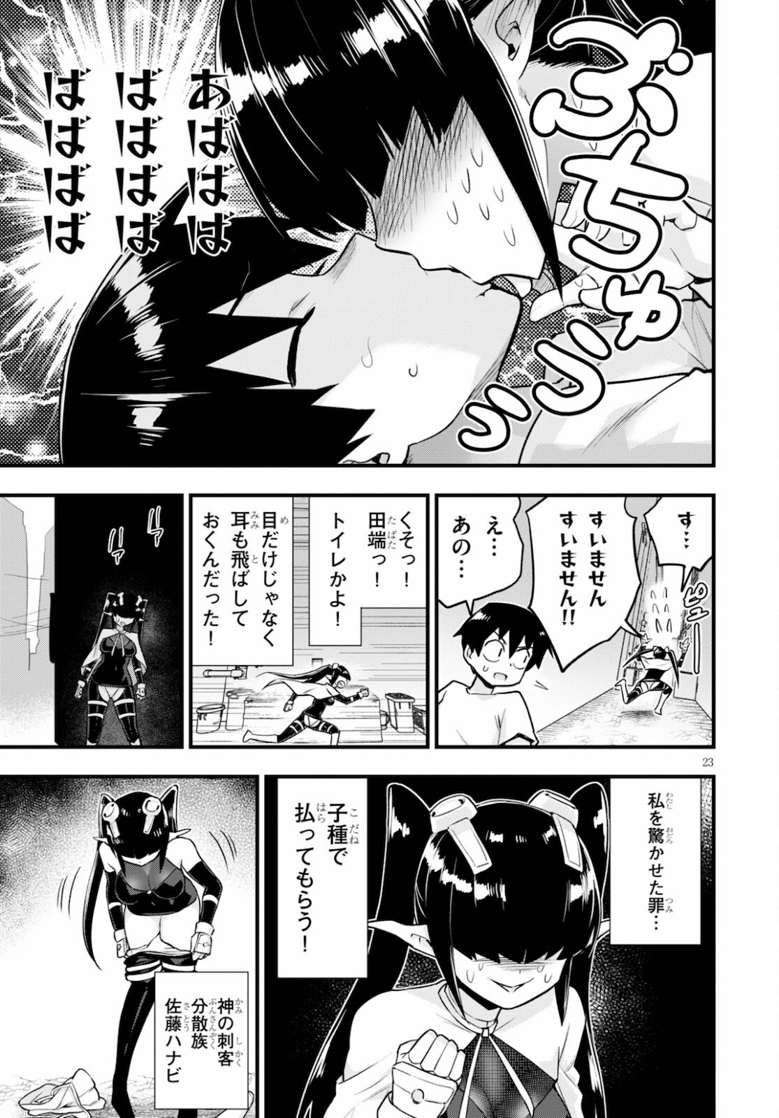 Page 23