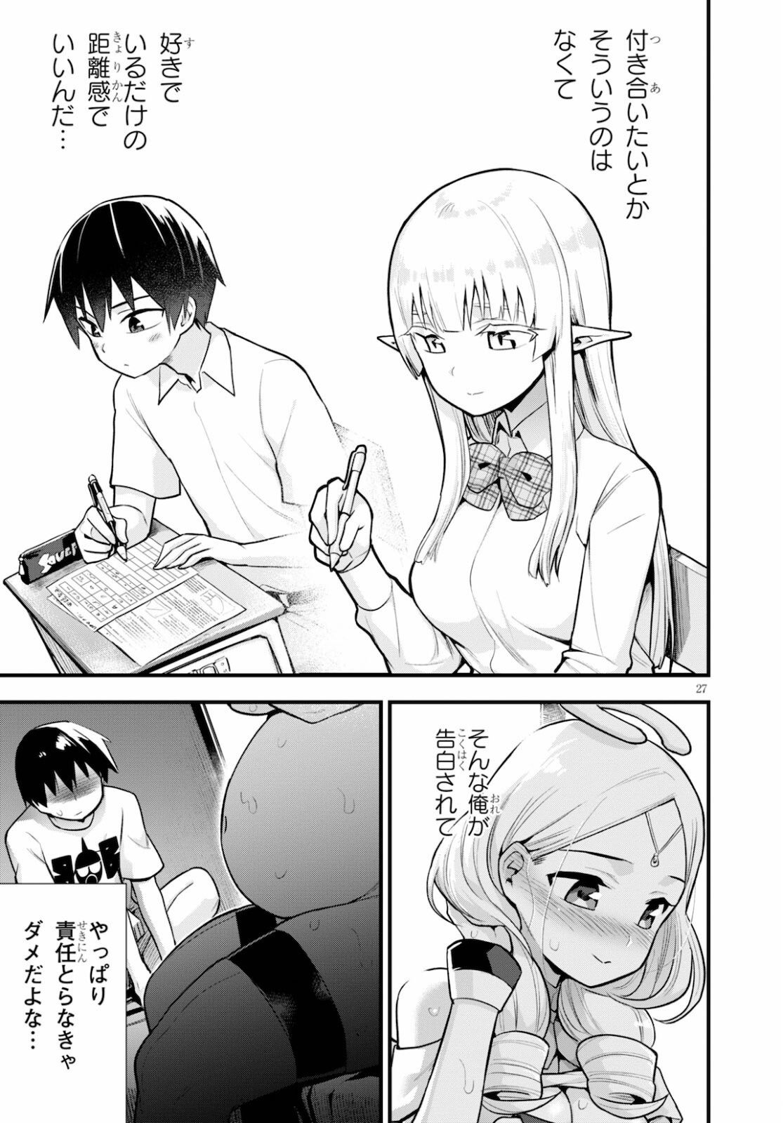 Page 27