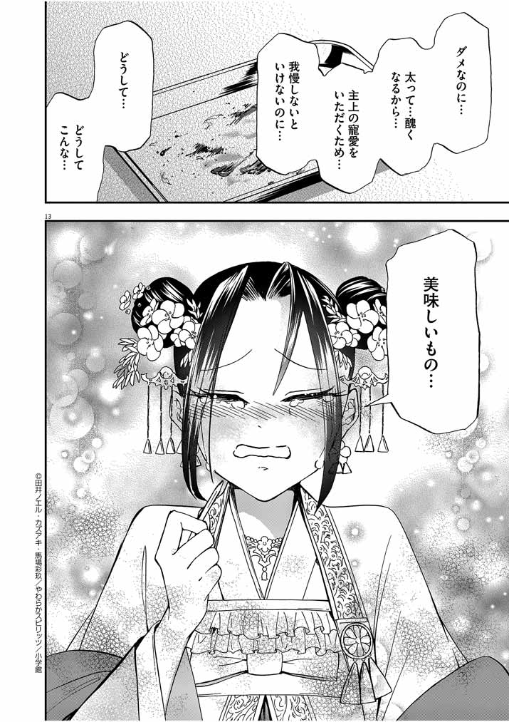 Page 13