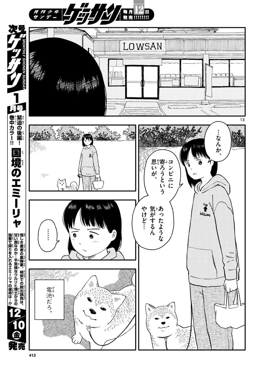 Page 13