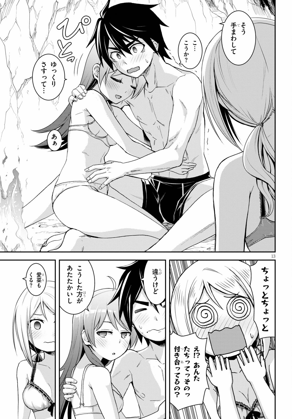 Page 13