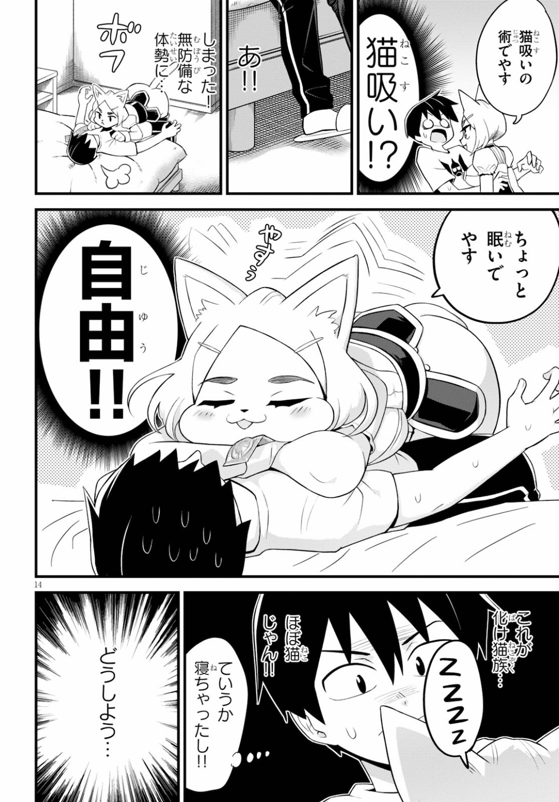 Page 14