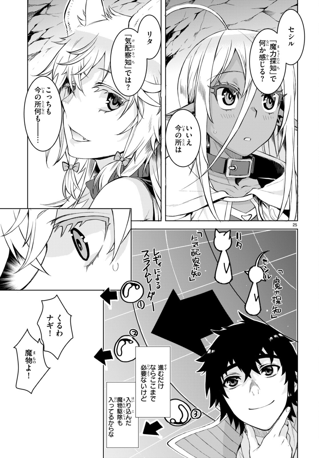 Page 25