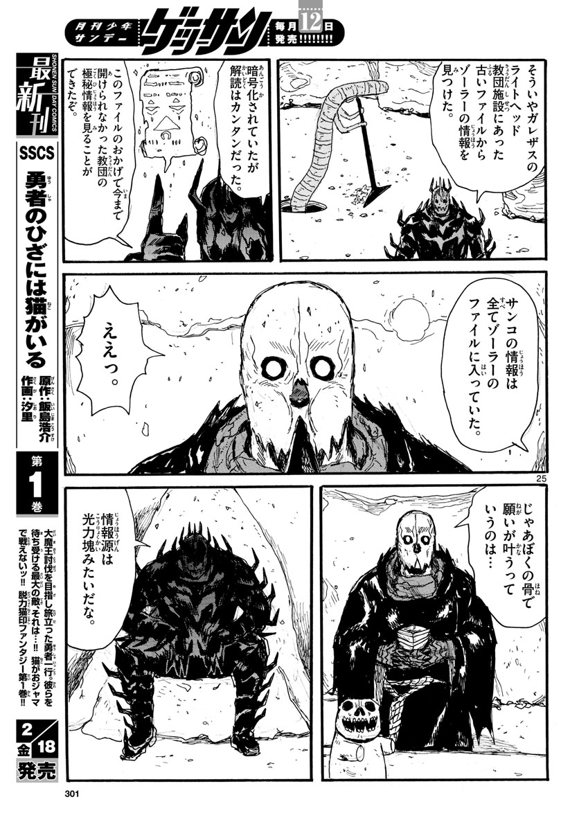 Page 25