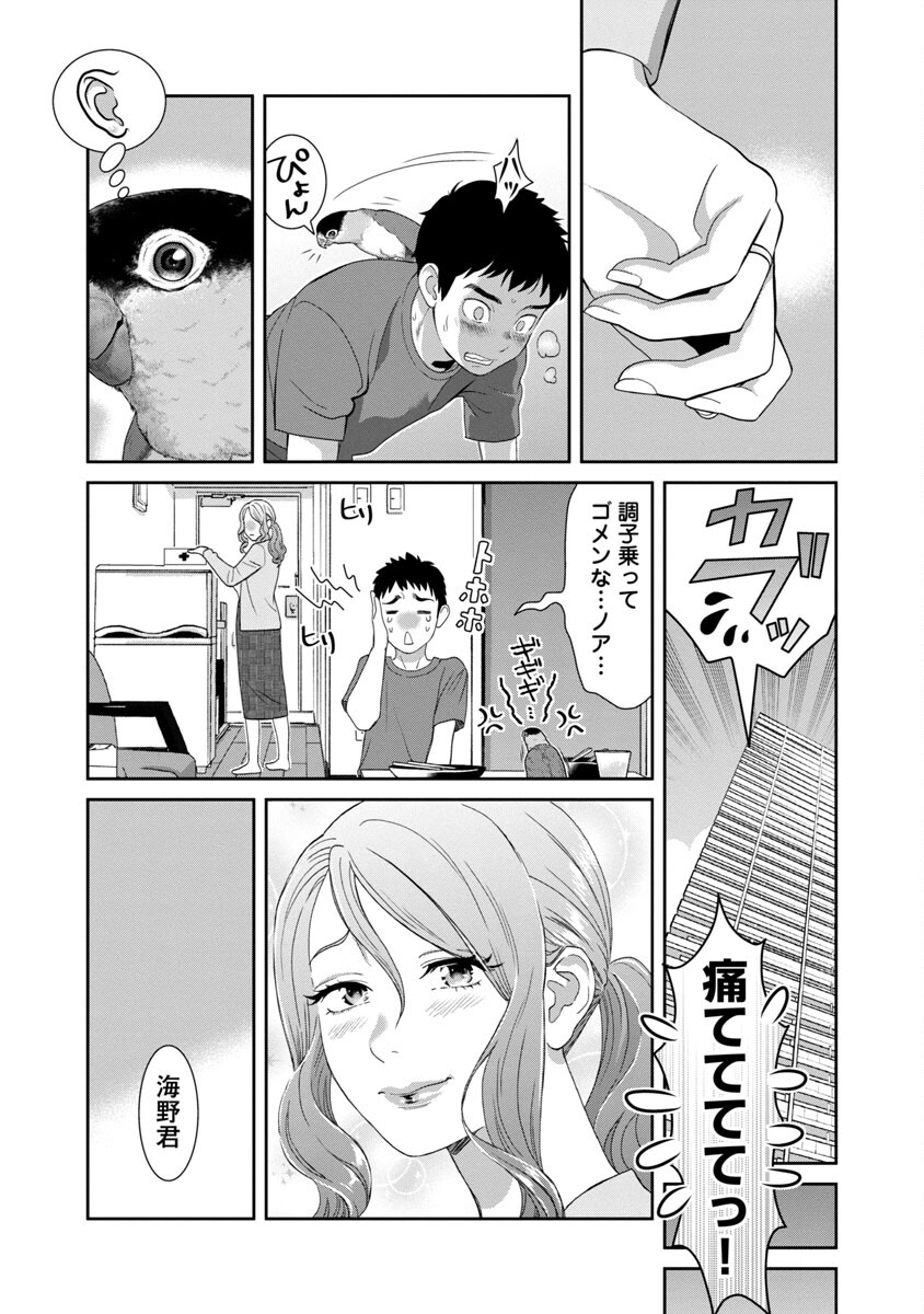 Page 17