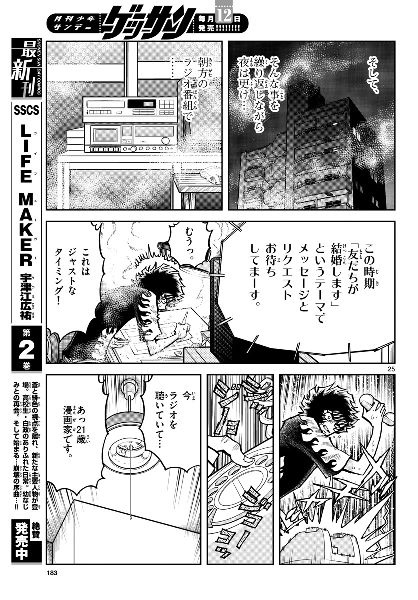 Page 25
