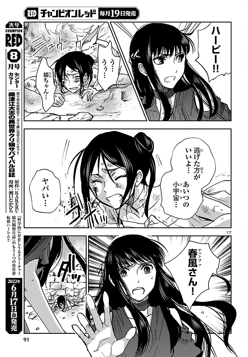 Page 17