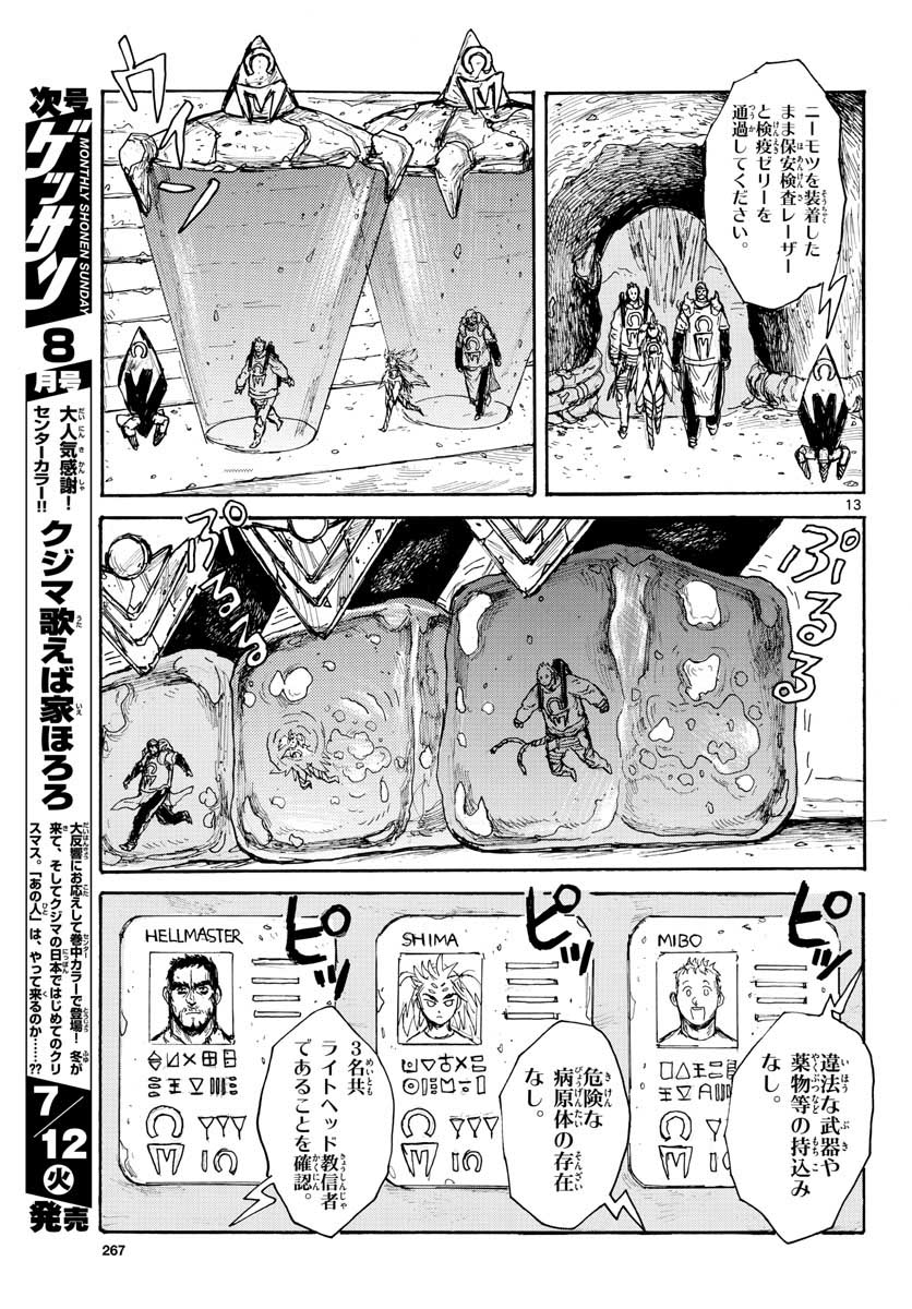 Page 13