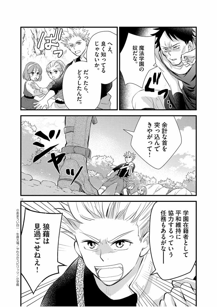 Page 12