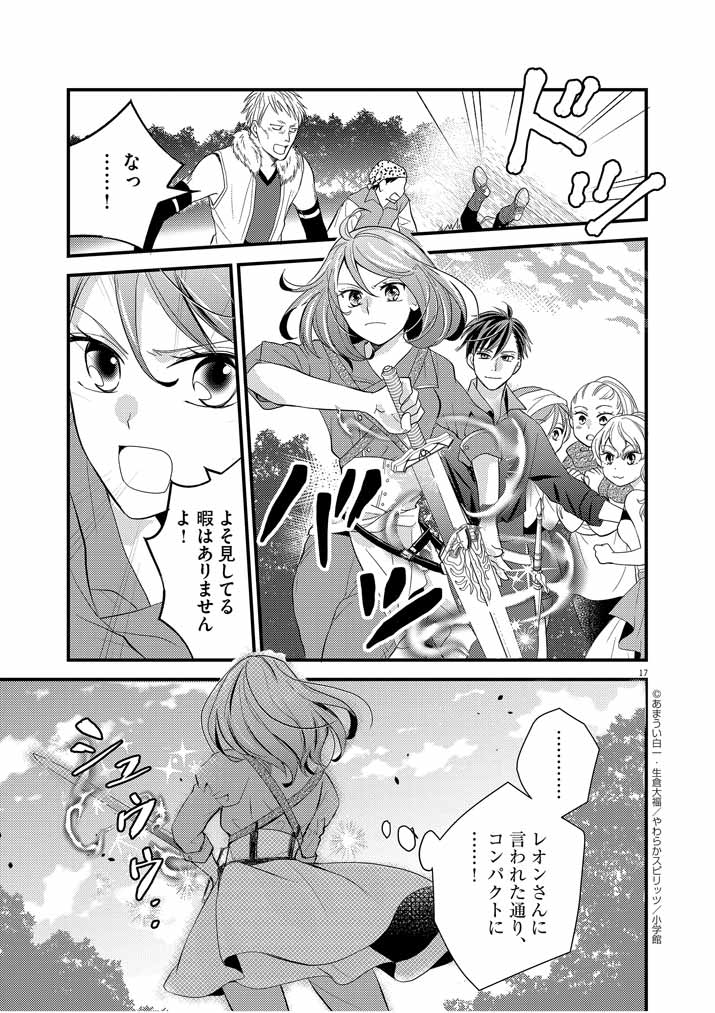 Page 17
