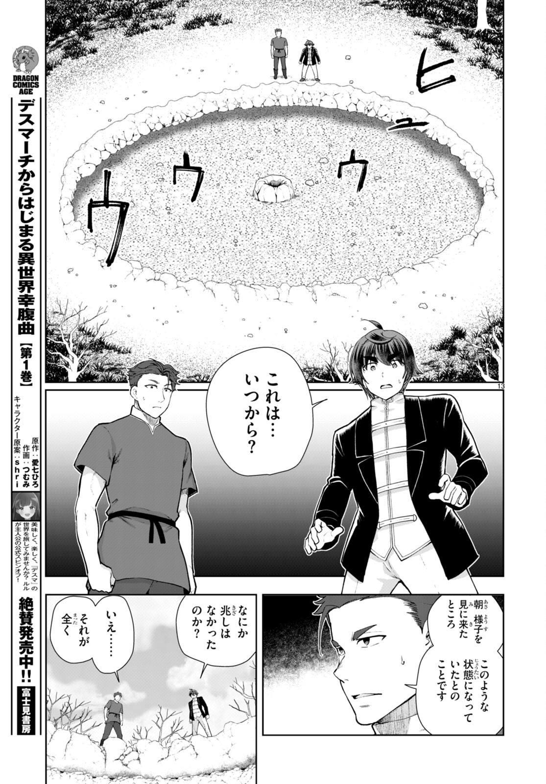 Page 13