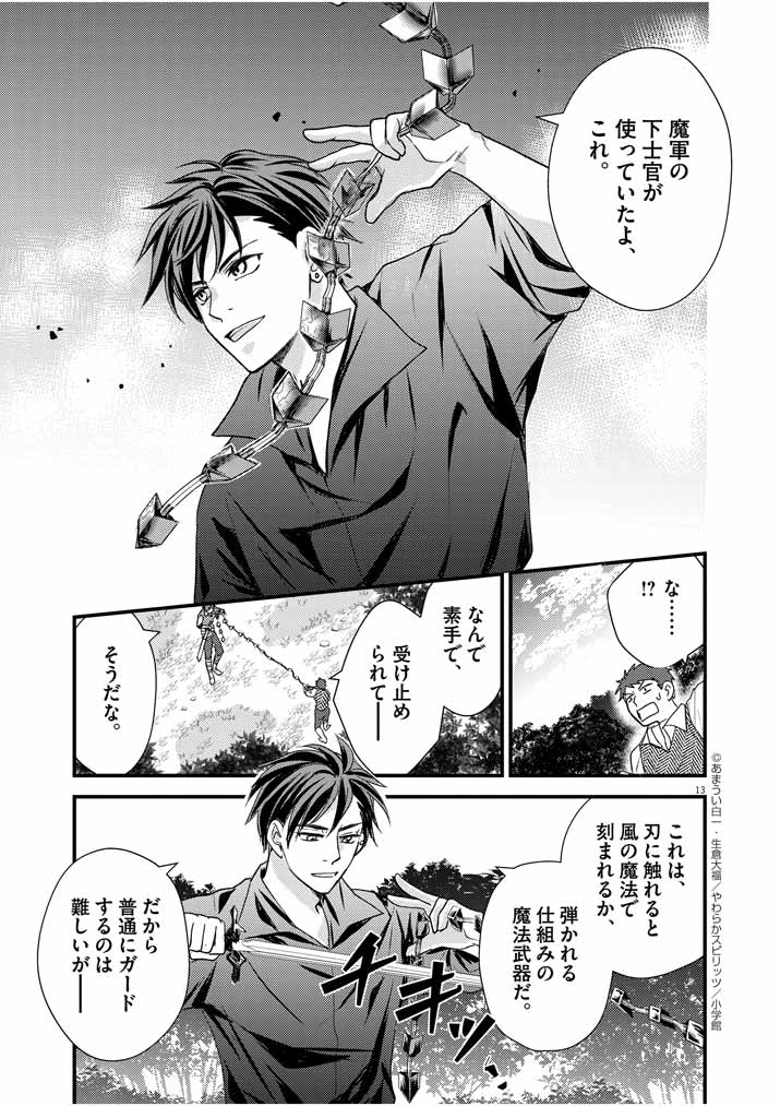 Page 13