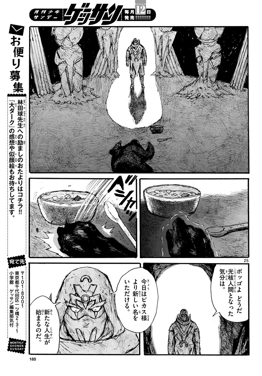 Page 25