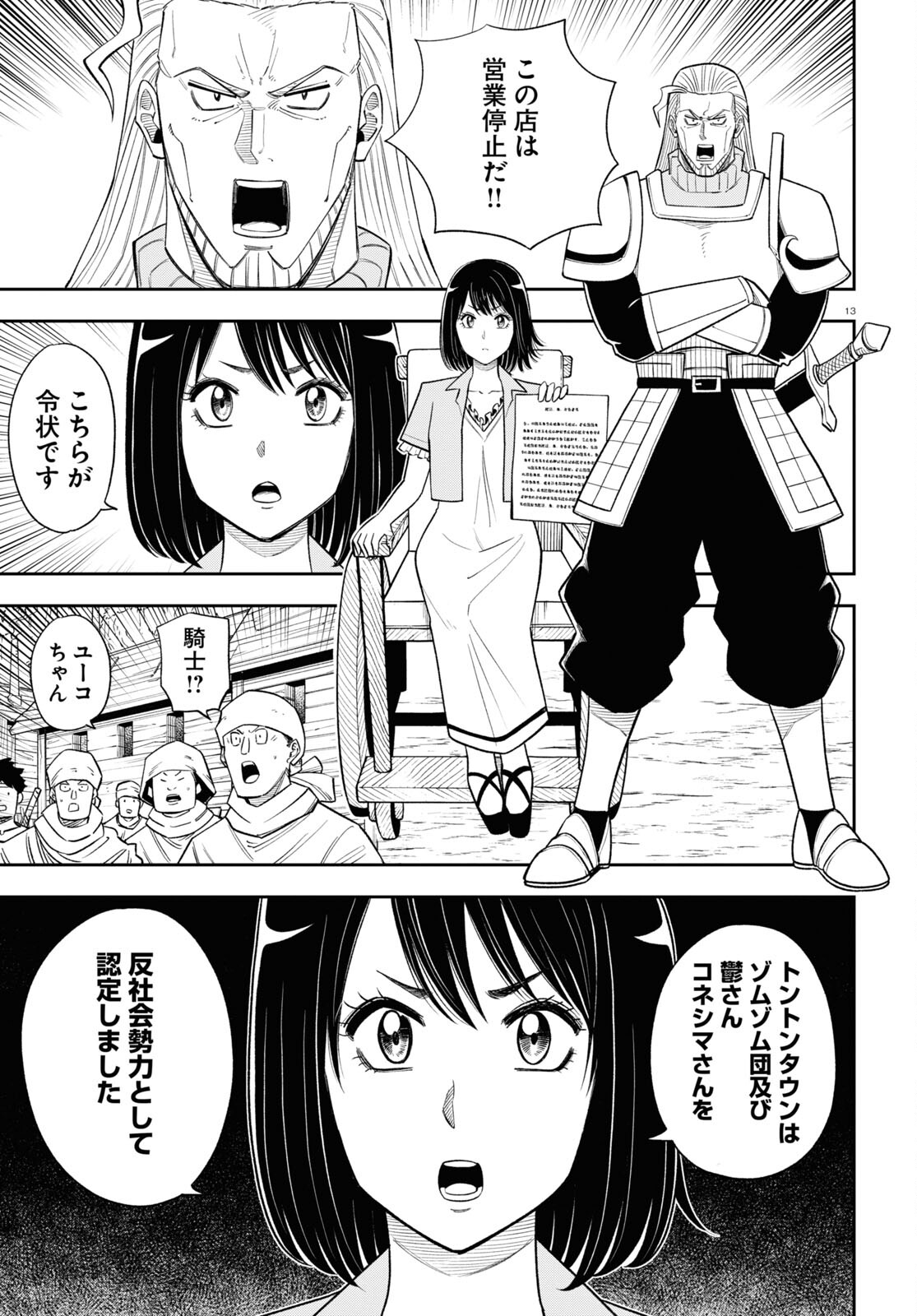Page 13