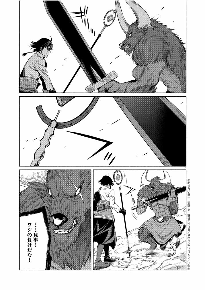 Page 13