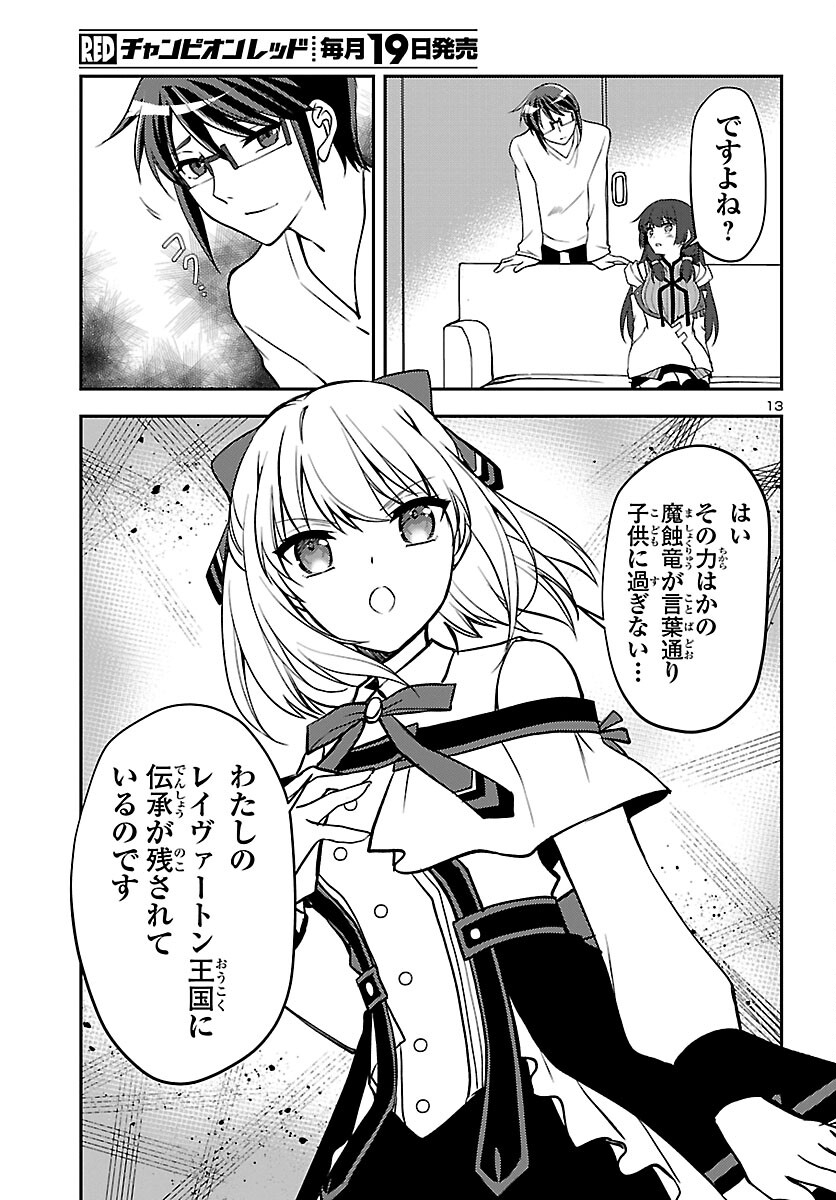 Page 13
