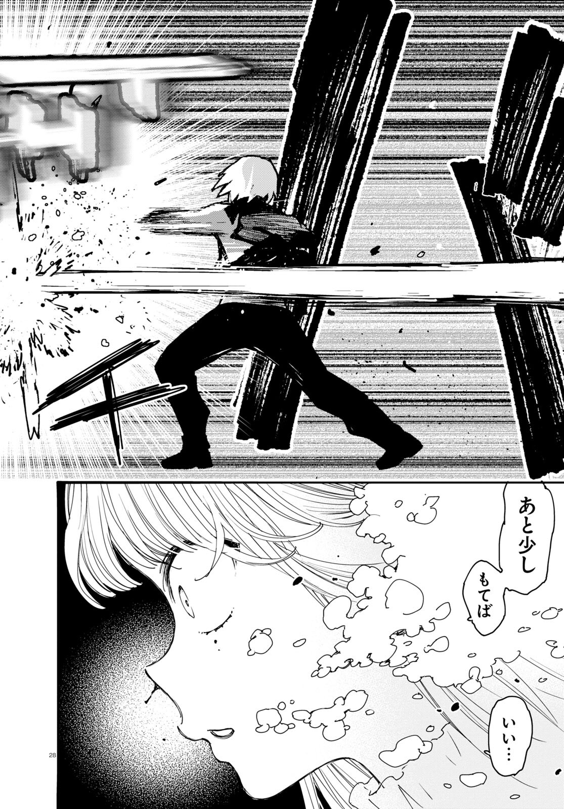 Page 28