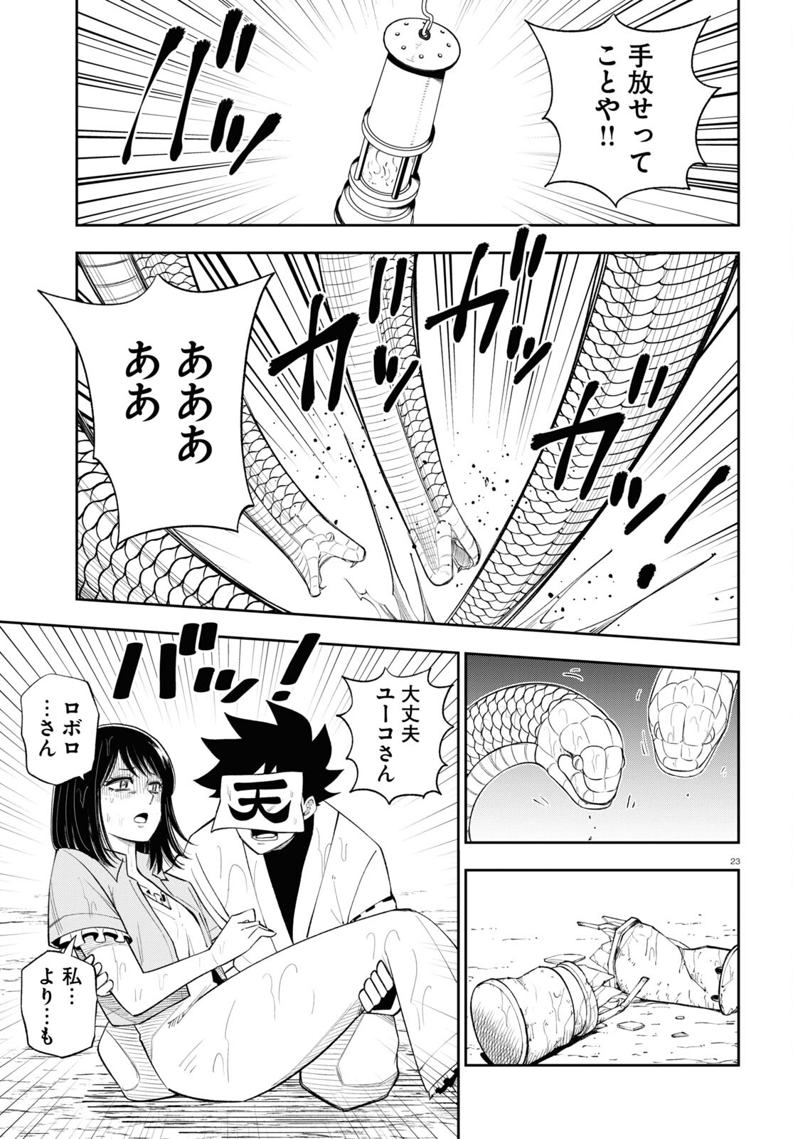 Page 23