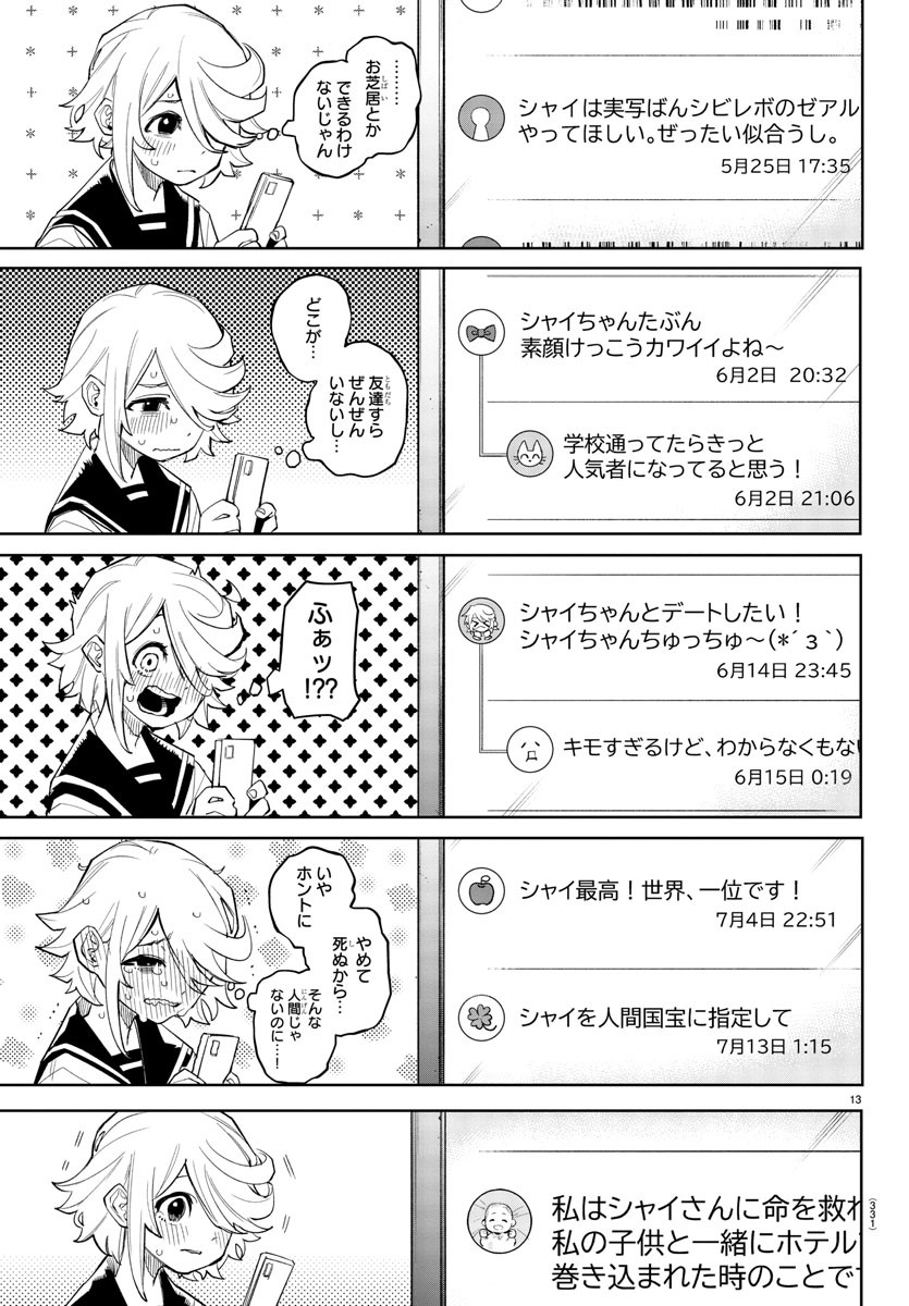 Page 13