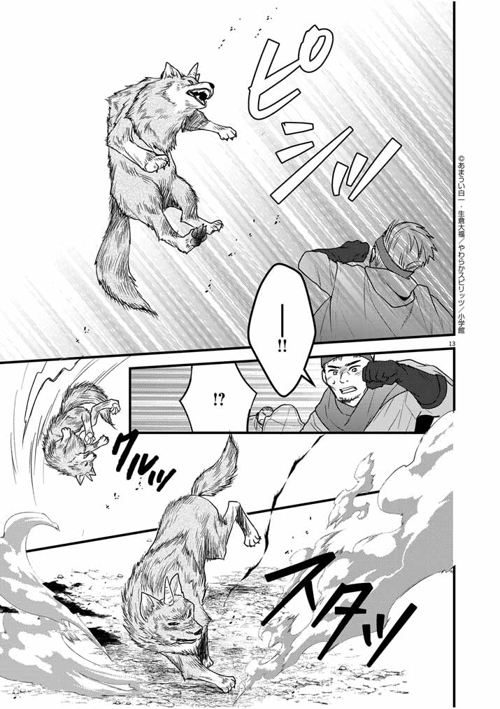 Page 13