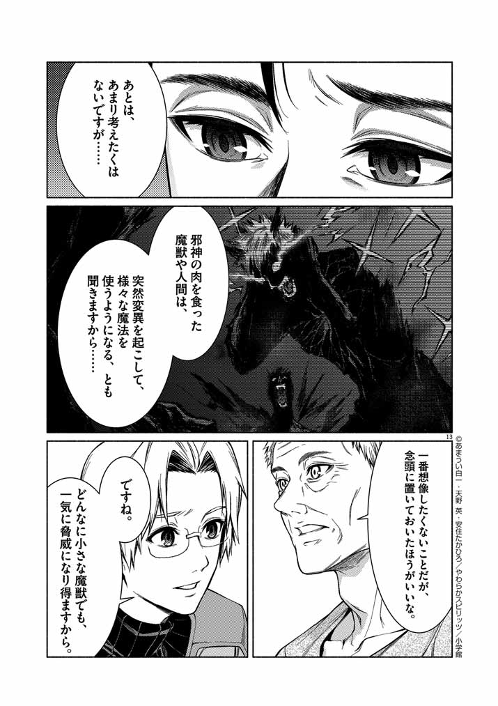 Page 13