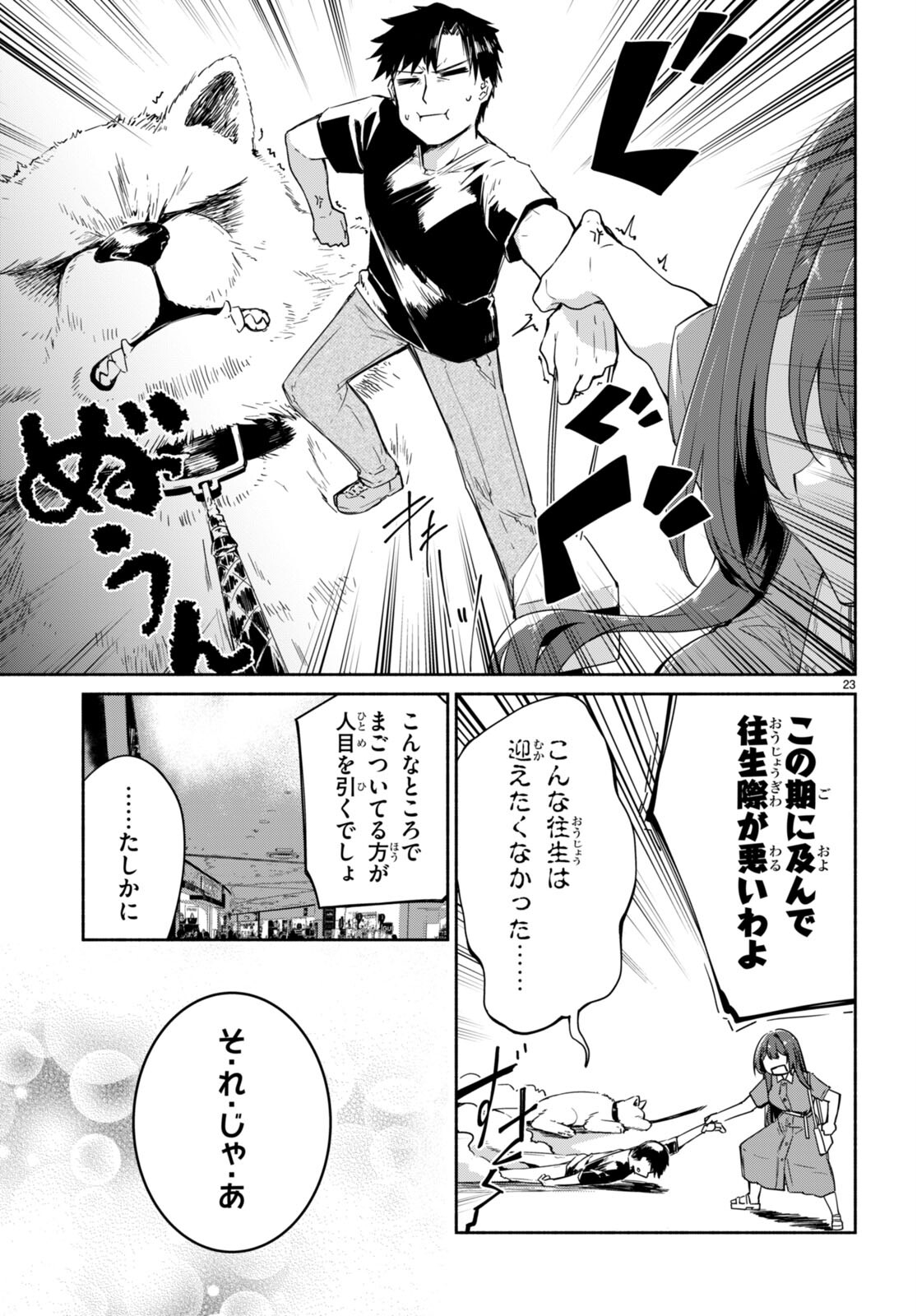 Page 23