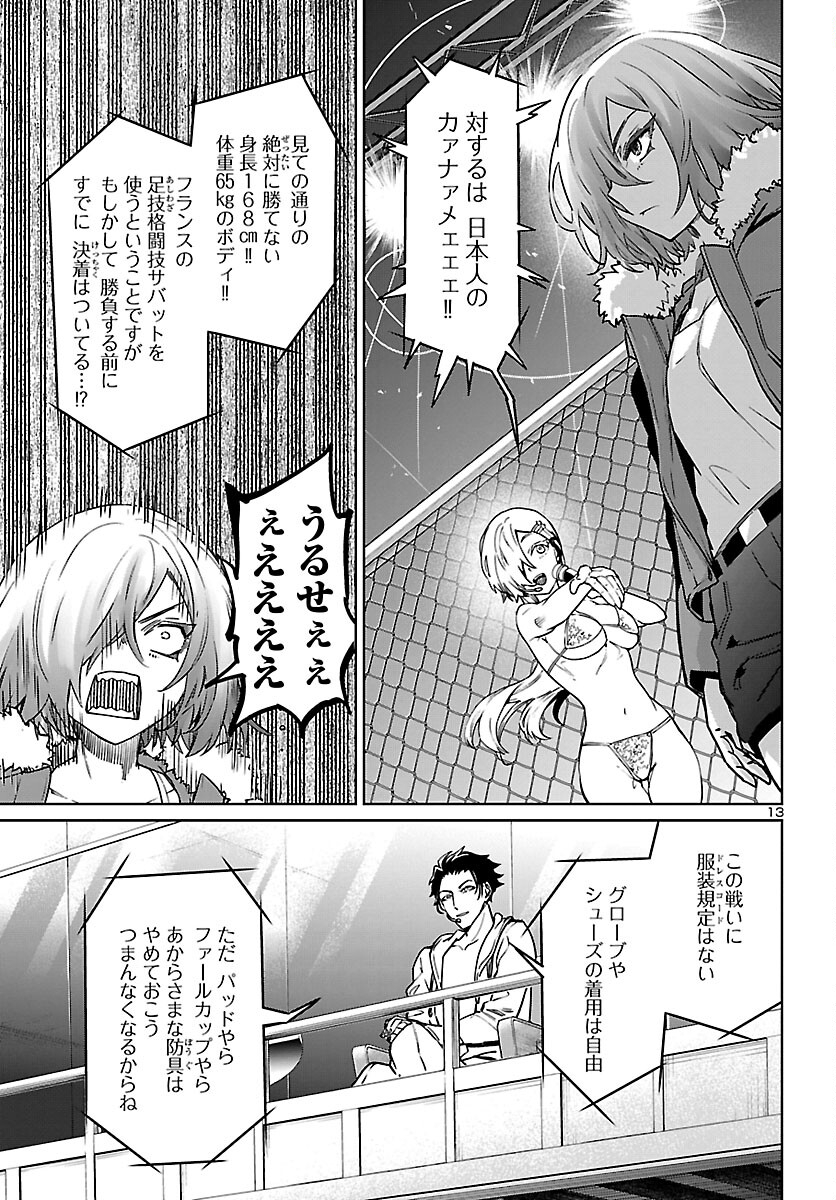 Page 13