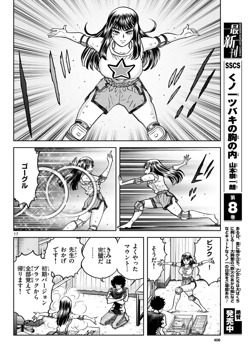 Page 17