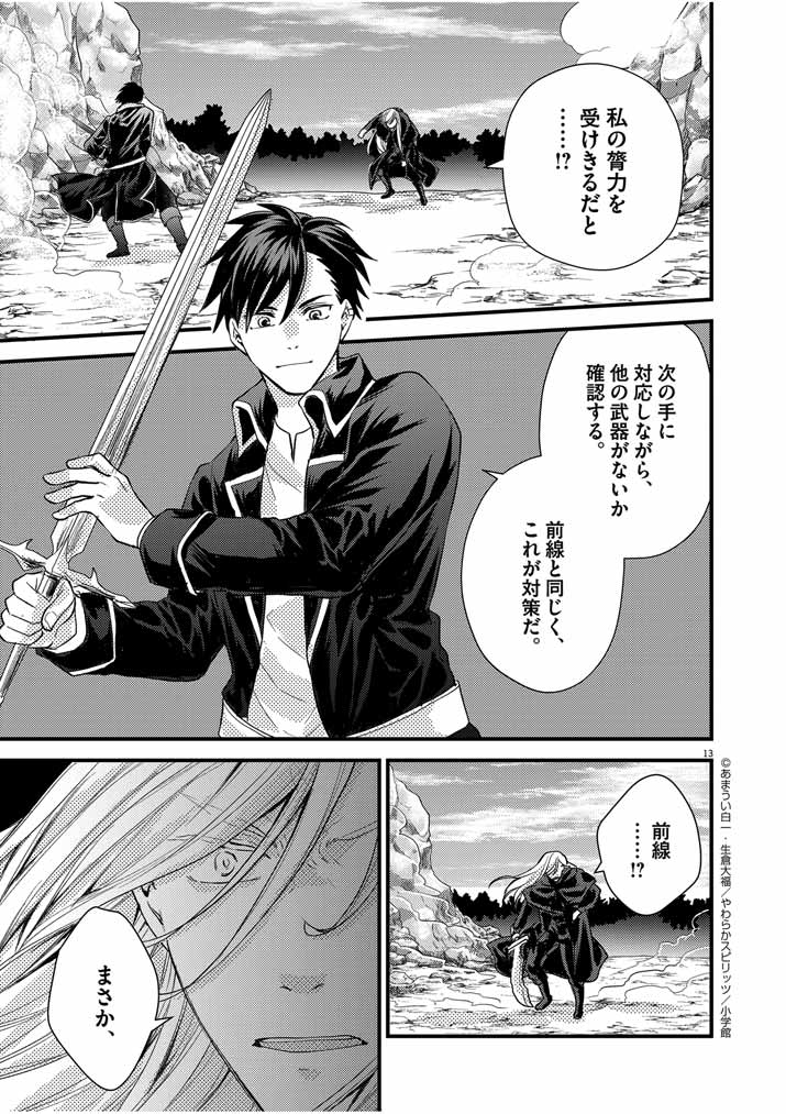 Page 13