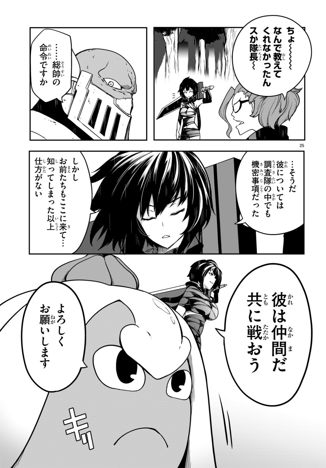 Page 25