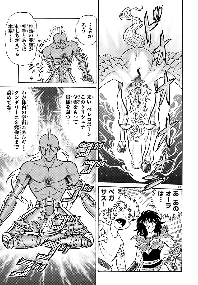 Page 25