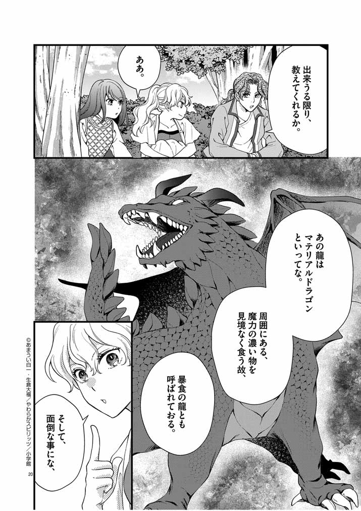 Page 20