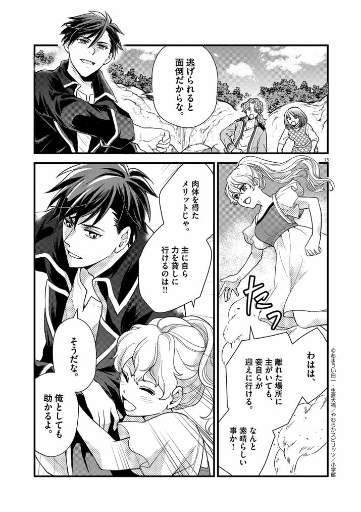 Page 13