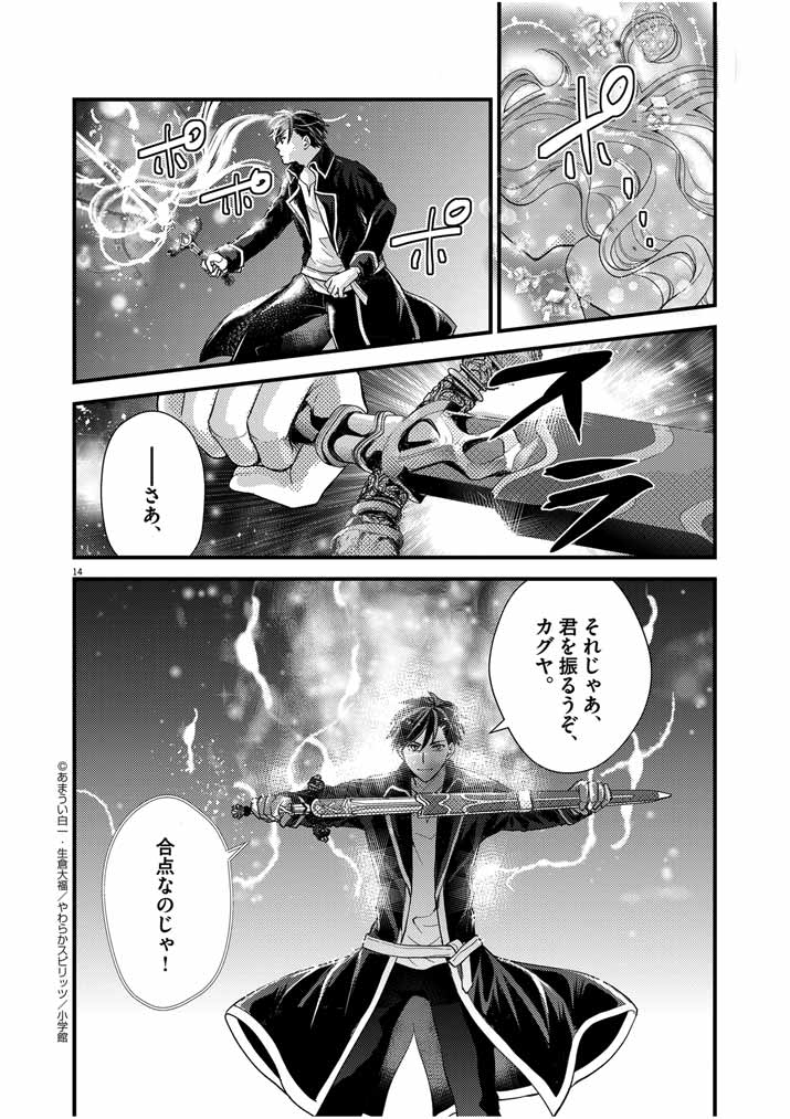Page 14