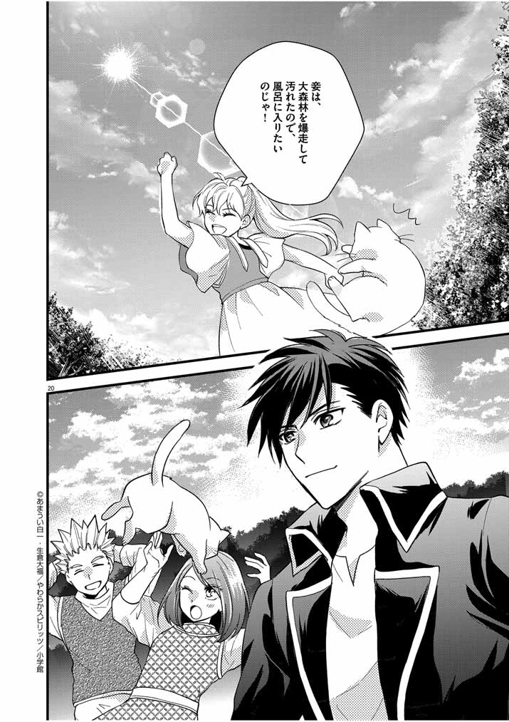 Page 20