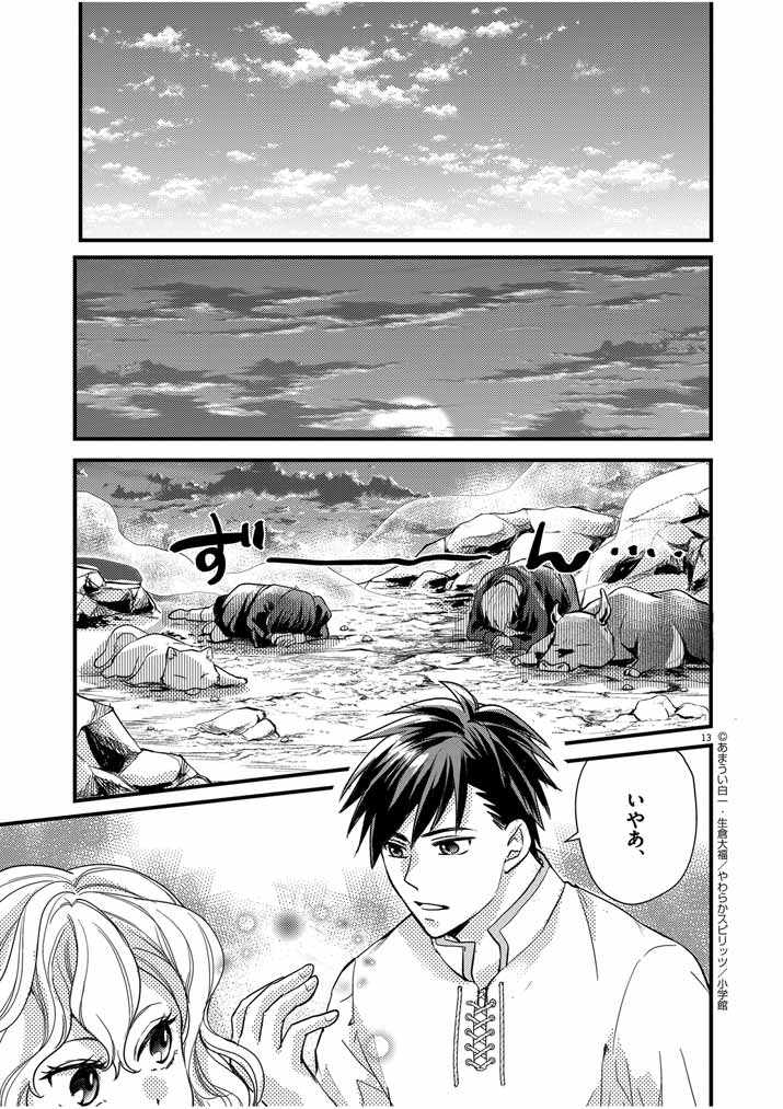Page 13
