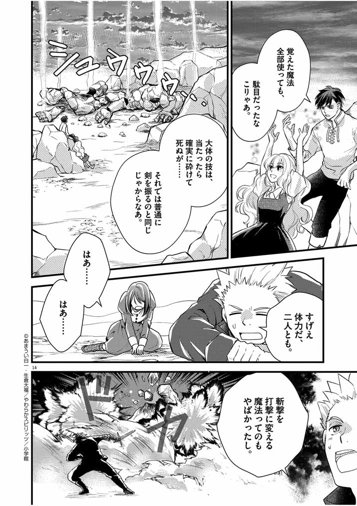 Page 14