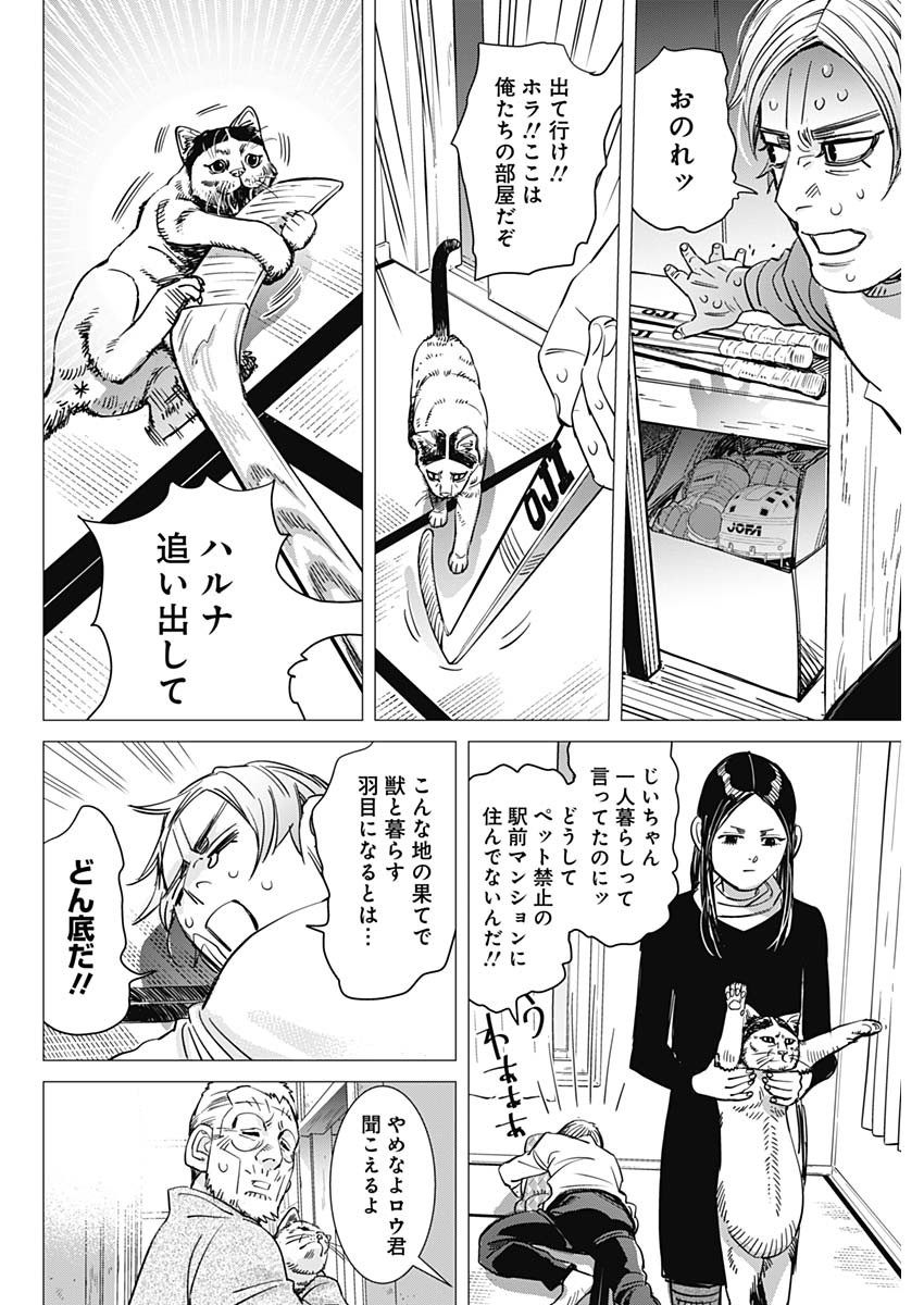 Page 43
