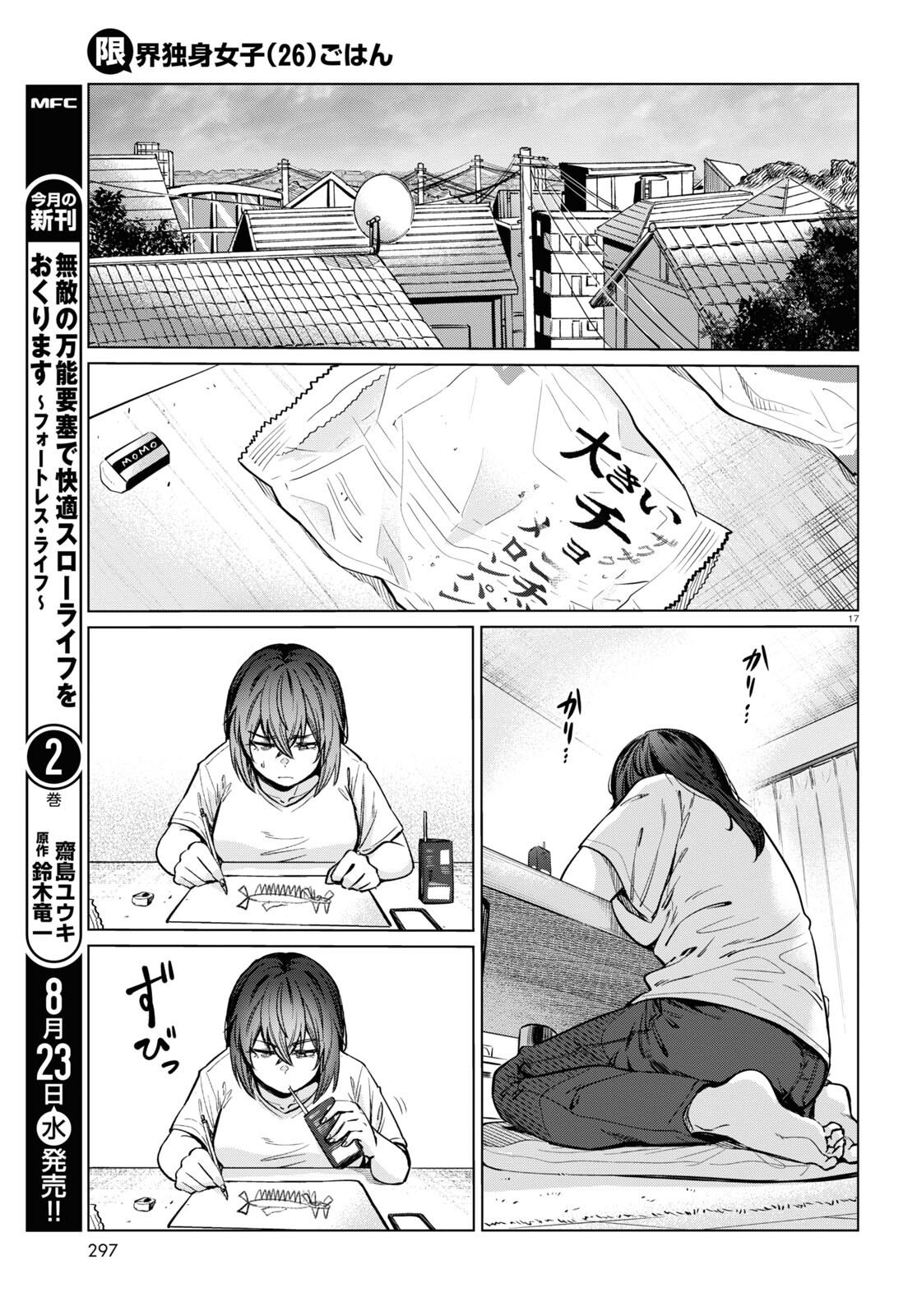 Page 17