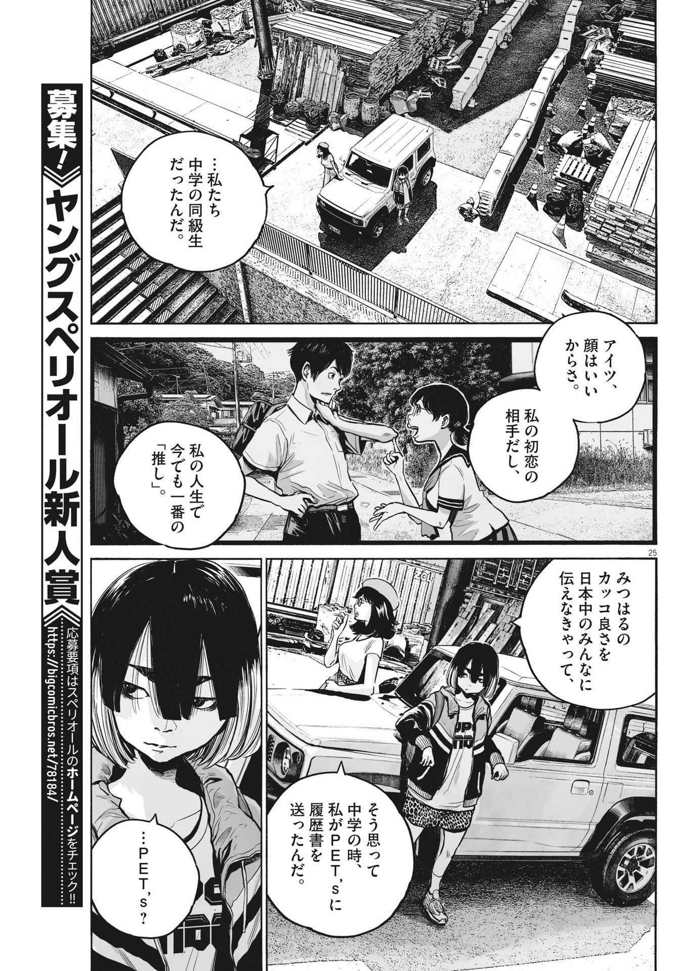 Page 25
