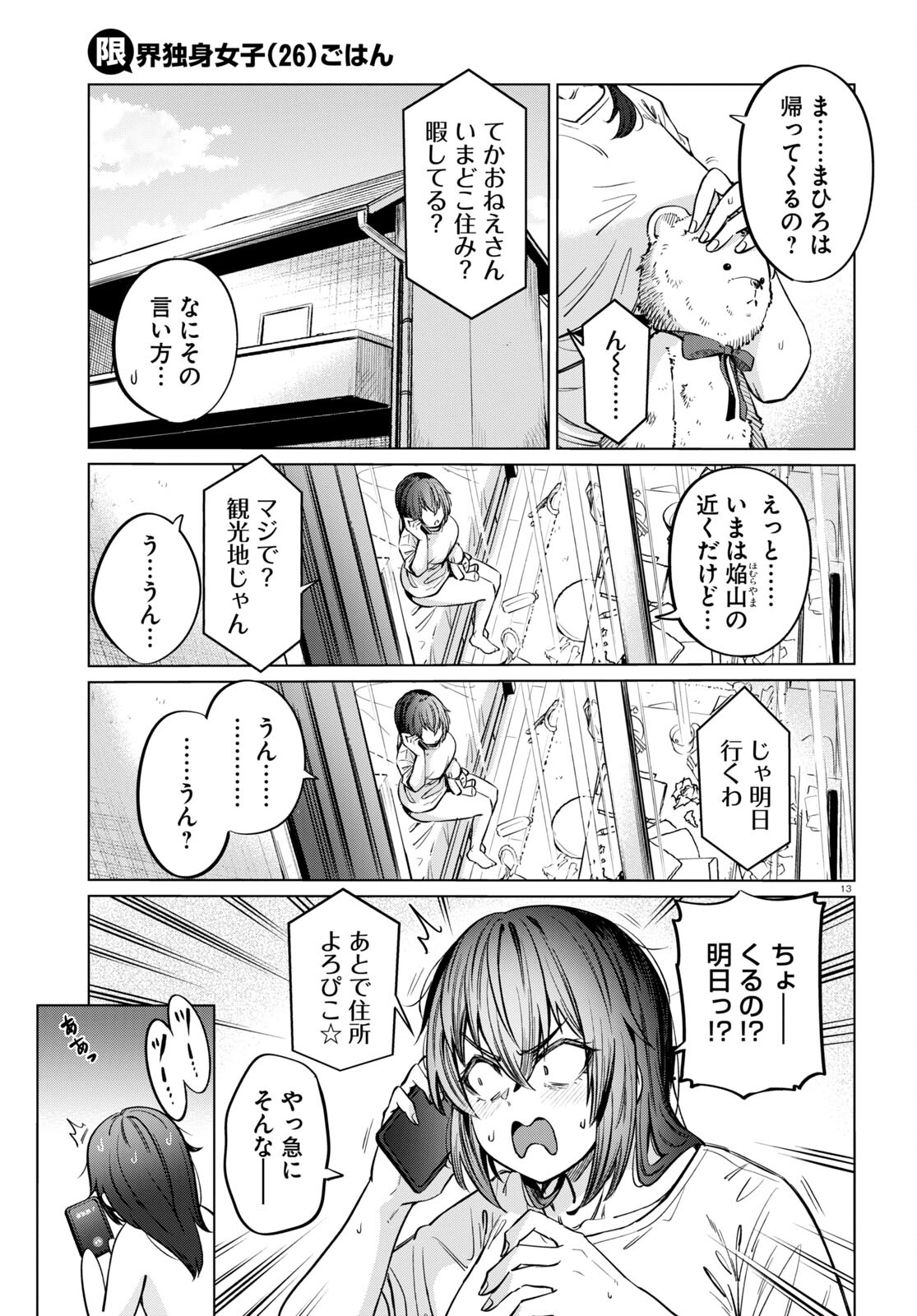 Page 13