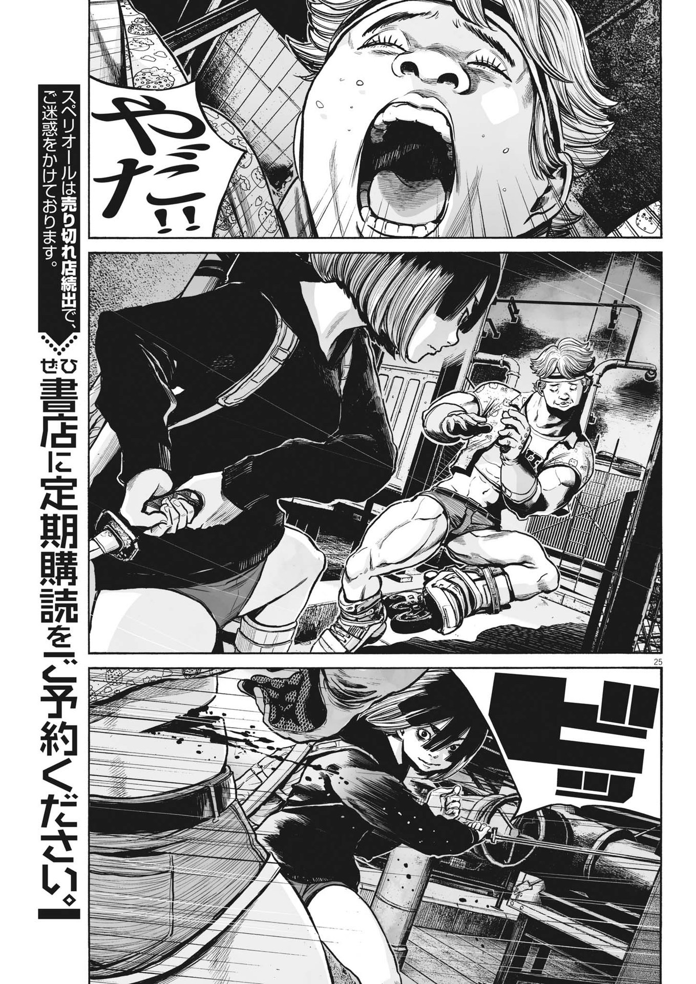 Page 25
