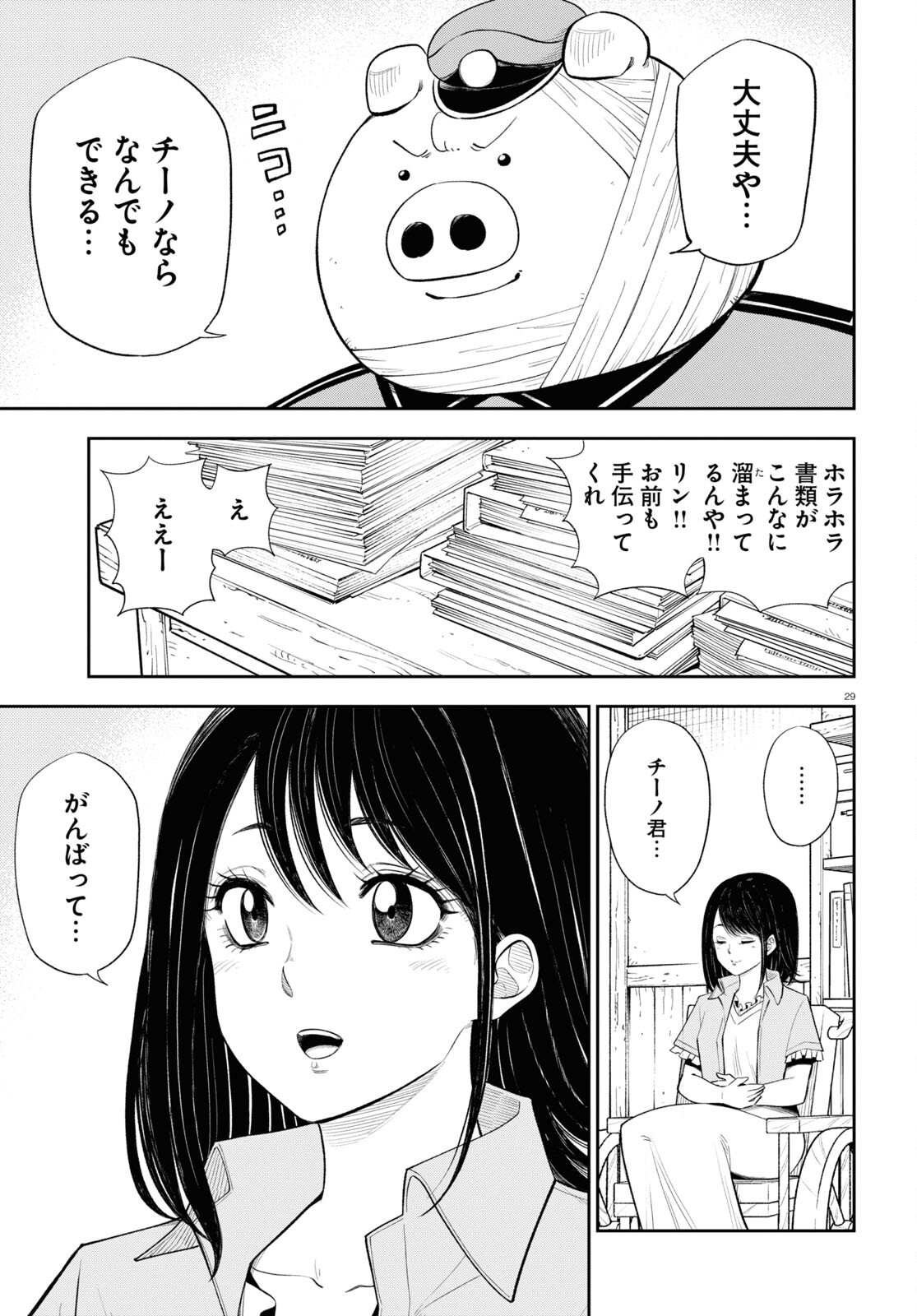 Page 29