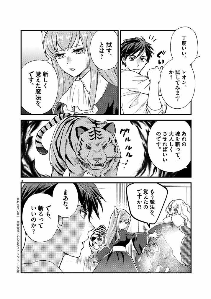 Page 14