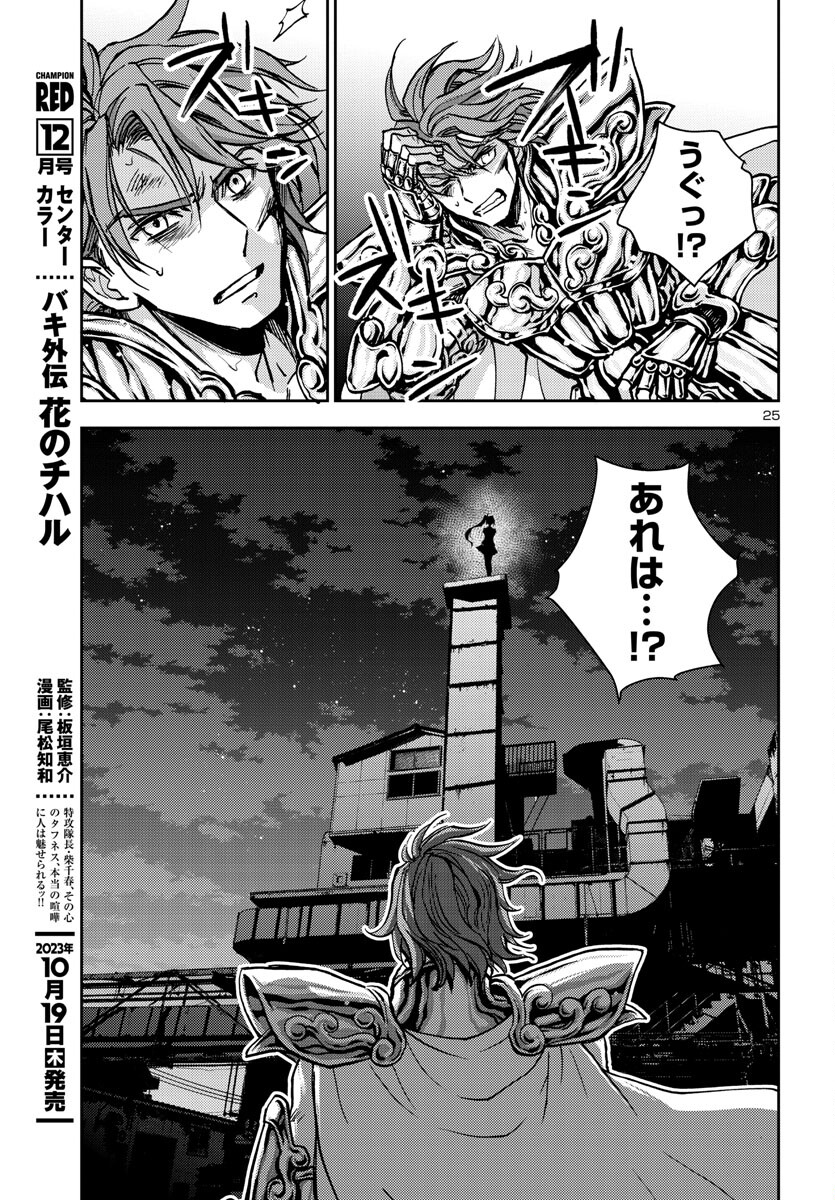 Page 25