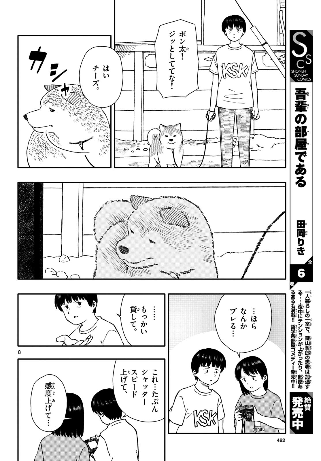 Page 8