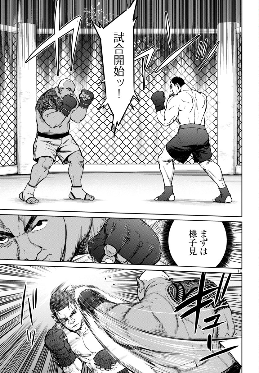 Page 13