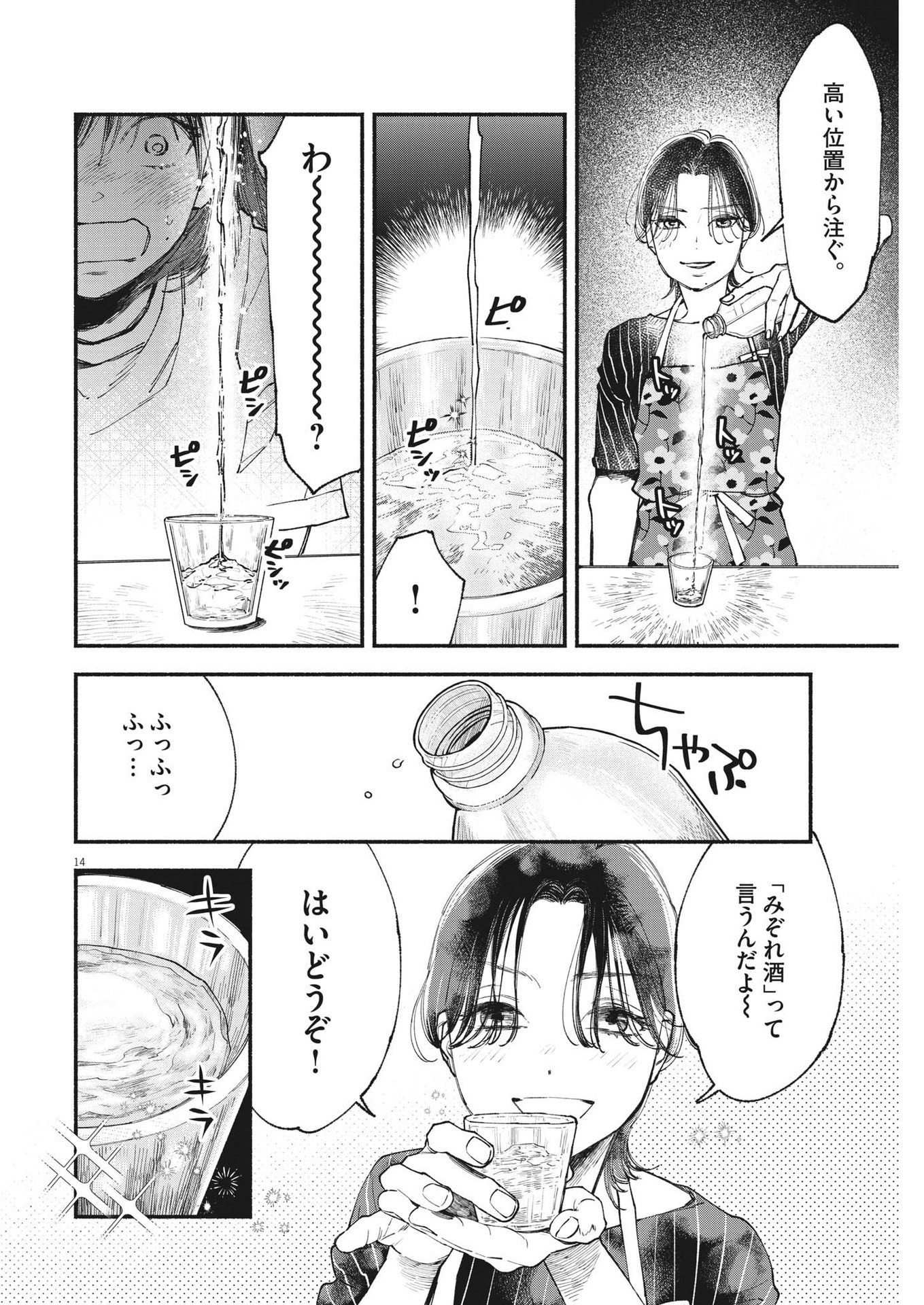 Page 14