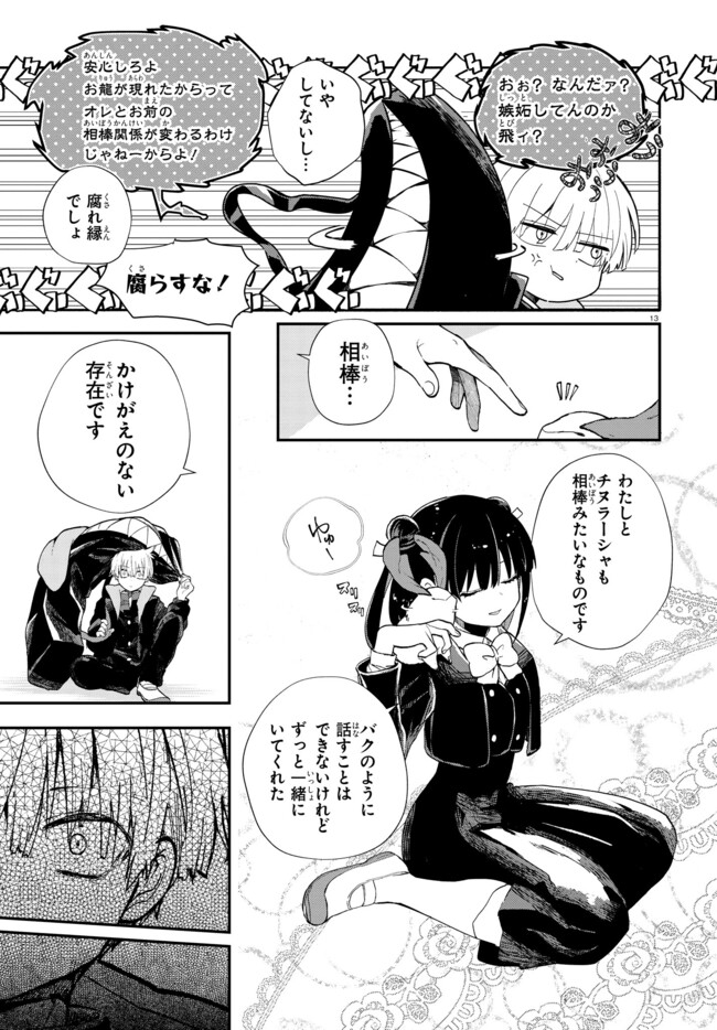 Page 13