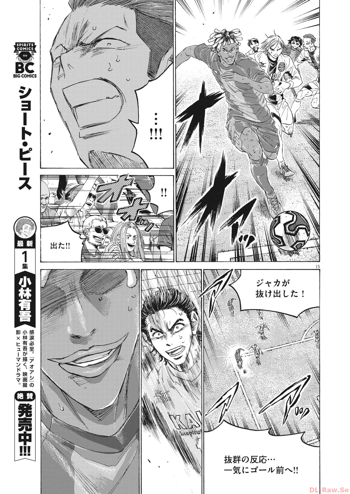 Page 15